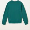 America Today Junior sweater Samson Jr met printopdruk groen online kopen