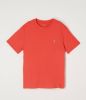 Polo Ralph Lauren T shirt met korte mouwen in jerseykatoen online kopen