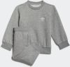 Adidas Originals 2 delig ensemble, sweater en jogging Adicolor online kopen