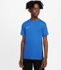Nike Trainingsshirt DRI FIT ACADEMY KIDS' TOP online kopen