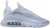 Nike Air Max 2090 sneakers wit/lichgrijs/zilver online kopen