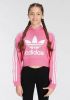 Adidas Originals Sweatshirt ADICOLOR CROPPED HOODIE online kopen
