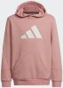 Adidas Future Icons 3Bar Fleece Sweater Met Capuchon Meisjes online kopen