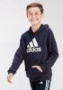 Adidas Sportswear Sweatshirt BIG LOGO ESSENTIALS COTTON HOODIE online kopen