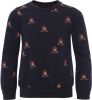 Common Heroes Sweater, all over print voor jongens in de kleur online kopen