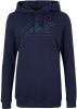 O'Neill Sweatshirt SCRIPT HOODIE online kopen